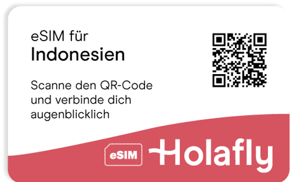 esim karte online shop holafly indonesien